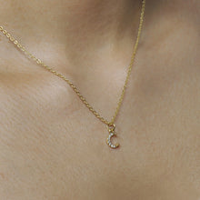 Load image into Gallery viewer, Dreamer